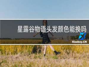星露谷物语头发颜色能换吗