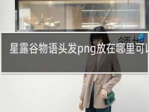 星露谷物语头发png放在哪里可以看