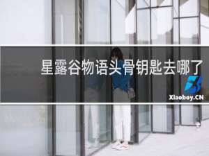 星露谷物语头骨钥匙去哪了