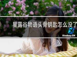 星露谷物语头骨钥匙怎么没了