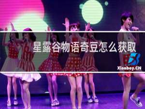 星露谷物语奇豆怎么获取