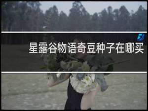 星露谷物语奇豆种子在哪买
