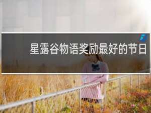 星露谷物语奖励最好的节日