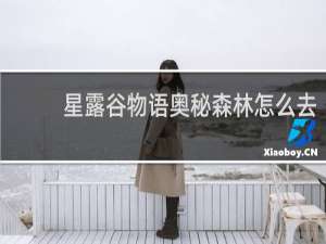 星露谷物语奥秘森林怎么去