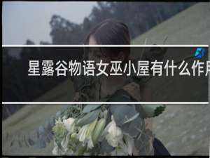 星露谷物语女巫小屋有什么作用