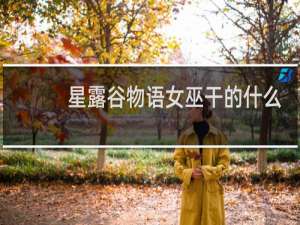 星露谷物语女巫干的什么