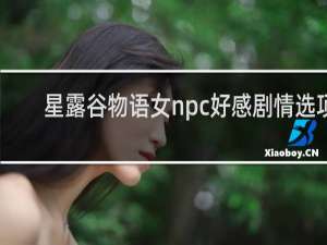 星露谷物语女npc好感剧情选项