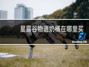 星露谷物语奶桶在哪里买