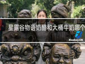 星露谷物语奶酪和大桶牛奶哪个贵