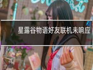 星露谷物语好友联机未响应