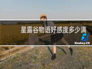 星露谷物语好感度多少满