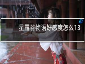 星露谷物语好感度怎么13