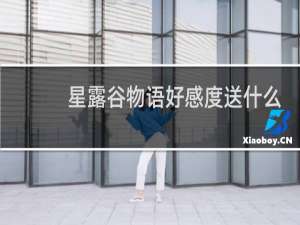 星露谷物语好感度送什么