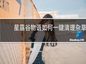 星露谷物语如何一键清理杂草