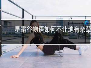 星露谷物语如何不让地有杂草