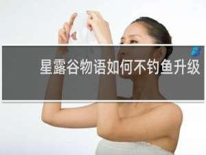 星露谷物语如何不钓鱼升级