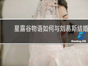星露谷物语如何与刘易斯结婚