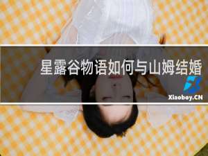 星露谷物语如何与山姆结婚