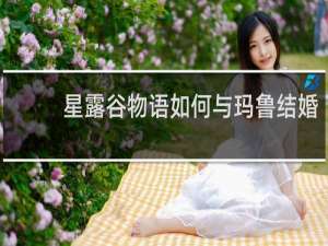 星露谷物语如何与玛鲁结婚