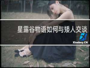 星露谷物语如何与矮人交谈