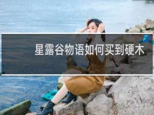 星露谷物语如何买到硬木