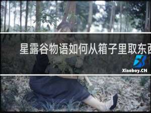 星露谷物语如何从箱子里取东西