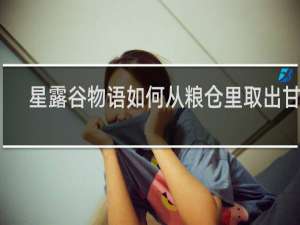 星露谷物语如何从粮仓里取出甘草