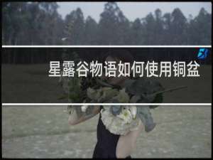 星露谷物语如何使用铜盆