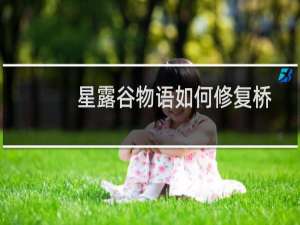 星露谷物语如何修复桥