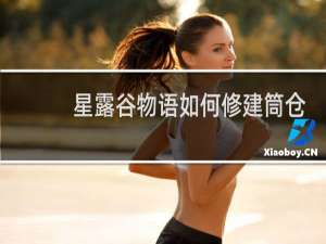 星露谷物语如何修建筒仓