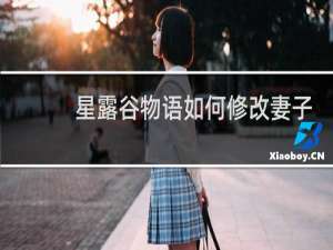 星露谷物语如何修改妻子