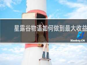 星露谷物语如何做到最大收益