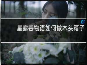 星露谷物语如何做木头箱子