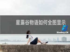 星露谷物语如何全图显示