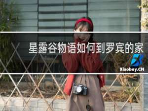星露谷物语如何到罗宾的家
