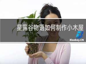 星露谷物语如何制作小木屋