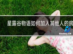 星露谷物语如何加入其他人的房间