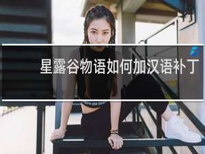 星露谷物语如何加汉语补丁
