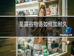 星露谷物语如何加耐久