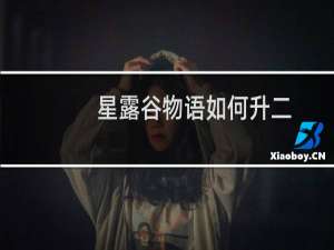 星露谷物语如何升二