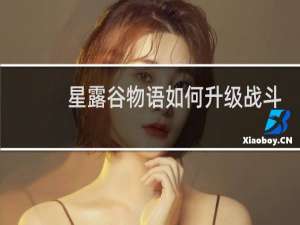 星露谷物语如何升级战斗
