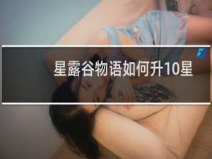 星露谷物语如何升10星