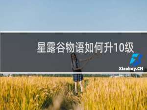 星露谷物语如何升10级