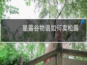 星露谷物语如何卖松露