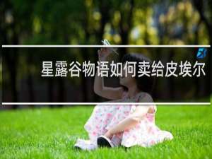 星露谷物语如何卖给皮埃尔
