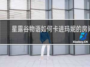 星露谷物语如何卡进玛妮的房间
