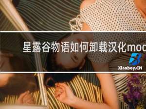 星露谷物语如何卸载汉化mod