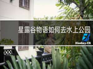 星露谷物语如何去水上公园