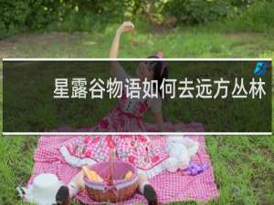 星露谷物语如何去远方丛林