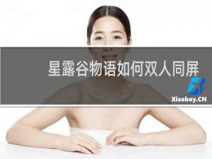 星露谷物语如何双人同屏